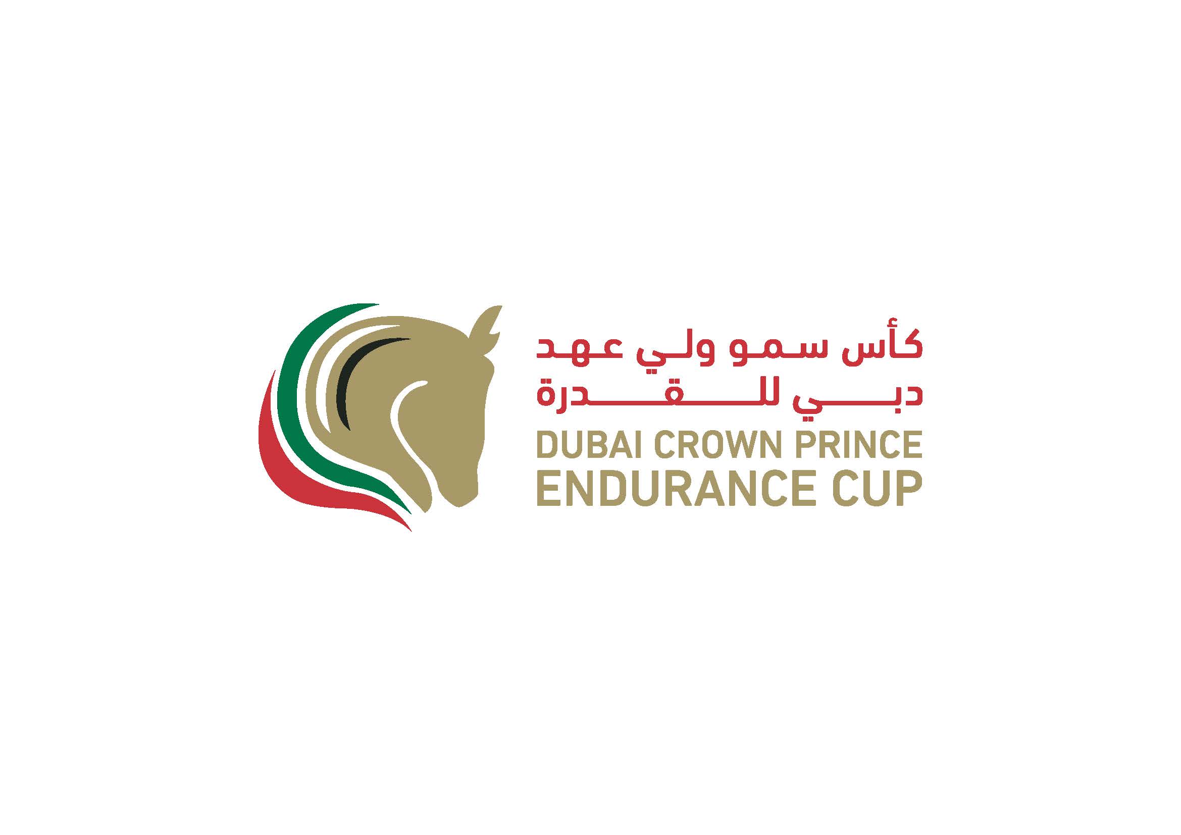Endurance Cup