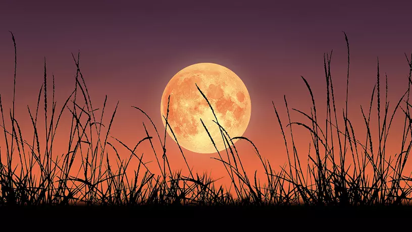 Harvest Super Moon