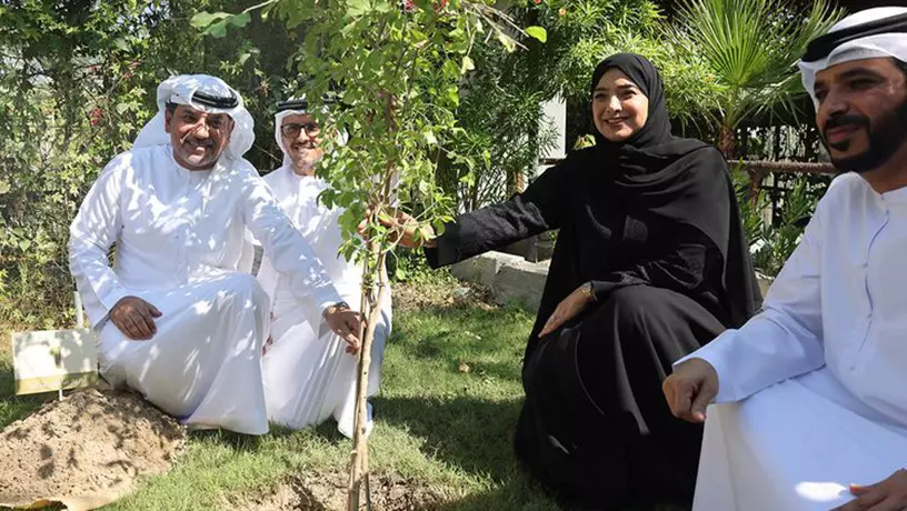 Local Tree Seedlings