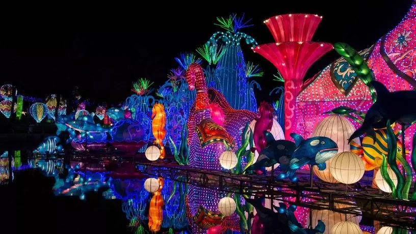 Dubai Garden Glow