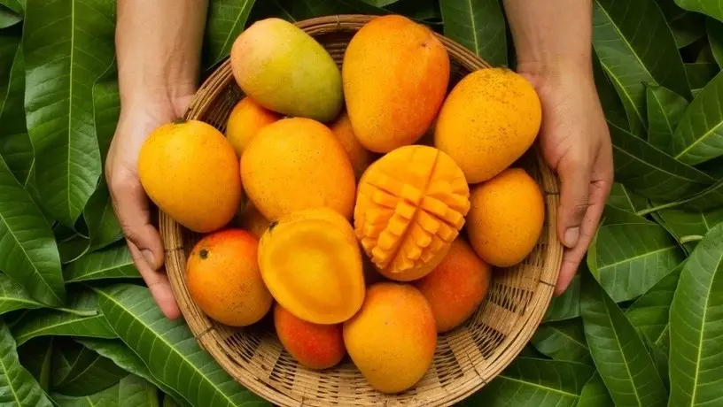 Mango Festival
