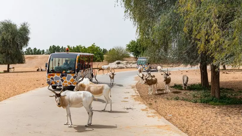 Dubai Safari Park