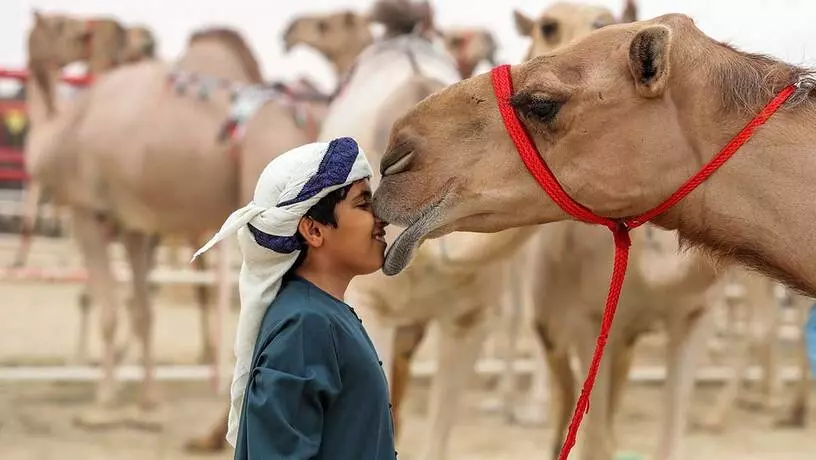 Al Dhafra